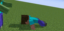 a minecraft character is laying on the ground in a field