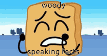 Woody Speaking Facts GIF - Woody Speaking Facts GIFs
