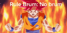 Brum Rule Brum GIF - Brum Rule Brum GIFs