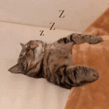 Waking Up Cat GIF - Waking Up Cat Reverse Mimir GIFs