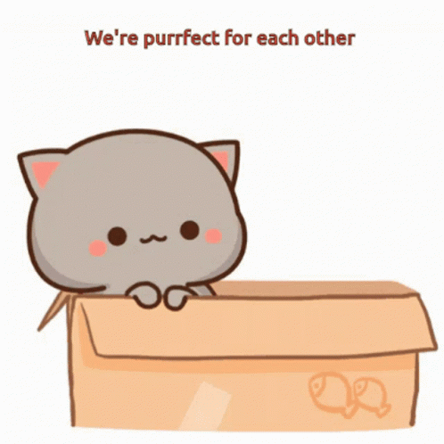 cute cat puns