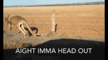 Imma Head GIF - Imma Head Out GIFs