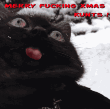 kunt merry xmas kunts silly tongue cat