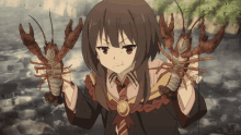 megumin crayfish crawfish anime konosuba