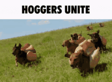Hoghog Hoggersunite GIF - Hoghog Hoggersunite Alliew GIFs