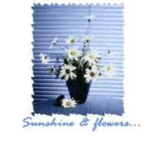 Sunshine And Flowers Wonderful Day GIF - Sunshine And Flowers Wonderful Day GIFs