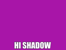 hi shadow blaze the cat shadow the hedgehog