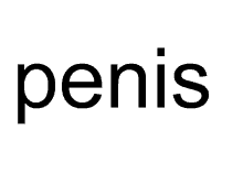Penis GIF - Penis GIFs