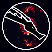 a black and white circle with a red circle in the middle
