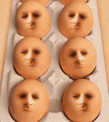 egghead eggs