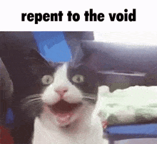Repent Void GIF - Repent Void Cat GIFs