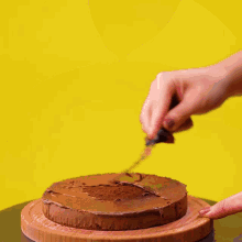 a person is cutting a chocolate cake into slices