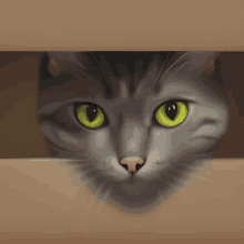 Furry Cat In A Box GIF - Furry Cat In A Box GIFs