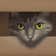 Furry Cat In A Box GIF