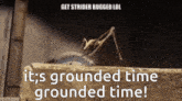 Its Grounded Time Stick Bug GIF - Its Grounded Time Grounded Time Grounded GIFs