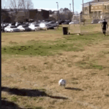 Soccer Fall GIF - Soccer Fall Wipe Out GIFs