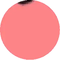 a pink circle with a black spot in the middle of it