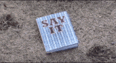 a book titled say it sits on the ground