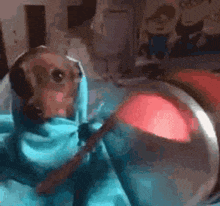a monkey is wrapped in a blue cloth and looking at a red light