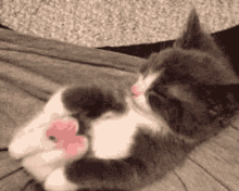 Kitten Stretch GIF - Kitten Stretch Sleeping GIFs