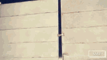 a cow is standing in front of a building with the word smp on the bottom right