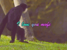 Mofe I Love You Mofe GIF - Mofe I Love You Mofe GIFs