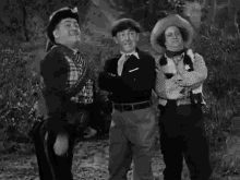 three stooges come here lets go over here curly howard
