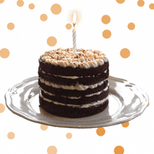 a chocolate cake with a single candle on top of it
