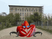 Lobster Llg GIF