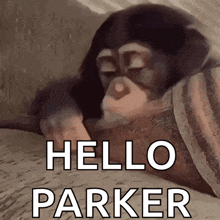 a baby chimpanzee is laying on a bed with the words `` hello parker '' written on it .