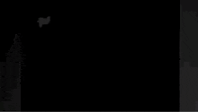 a black and white image with the words " the follower announcement has been " written on it