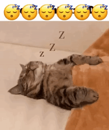 a cat laying on its back with zzz emojis behind it
