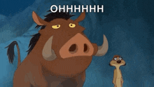 a cartoon of a warthog and a meerkat from the lion king .
