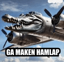 a plane with a crocodile head on it and the words ga maken hamlap on the bottom