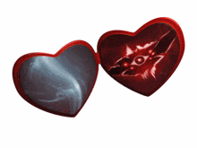 a red heart shaped object with a picture of a cat on it