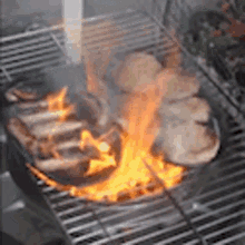 Fire Grill GIF - Fire Grill Burnt GIFs