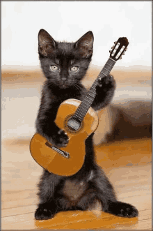GIF