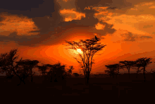 Look At The Sunset GIF