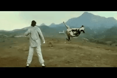 kung-fu-cow-udders.gif