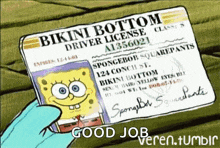 Sponge Bob License GIF - Sponge Bob License Drivers License GIFs