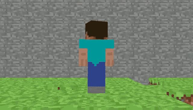 ender brian, Minecraft Skin