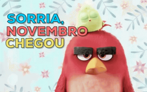 Feliz novembro Angry Birds Sorria, novembro chegou!