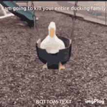 Duck Family GIF