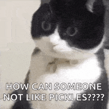 a black and white cat is sitting on a table and looking at the camera .