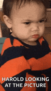 a baby is making an angry face with the words harold looking at the picture below it