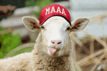 Maga Sheep Trump Maaa GIF - Maga Sheep Trump Sheep Maaa GIFs