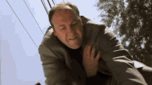 Sopranos Tony Soprano GIF - Sopranos Tony Soprano Mikey Palmice GIFs