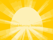 good morning sun sunshine beautiful