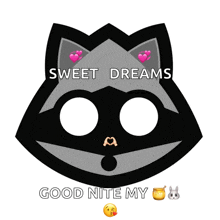 a picture of a raccoon with the words sweet dreams good nite my