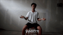 Why Whyy GIF - Why Whyy Why Not GIFs